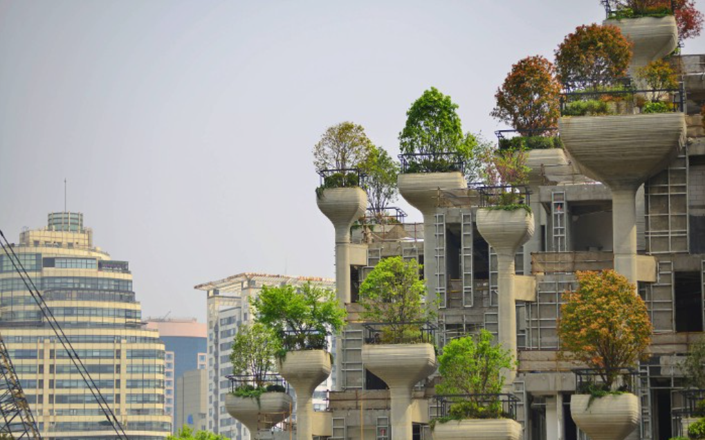 Тысяча колонн с живыми деревьями: современная версия одного из чудес света